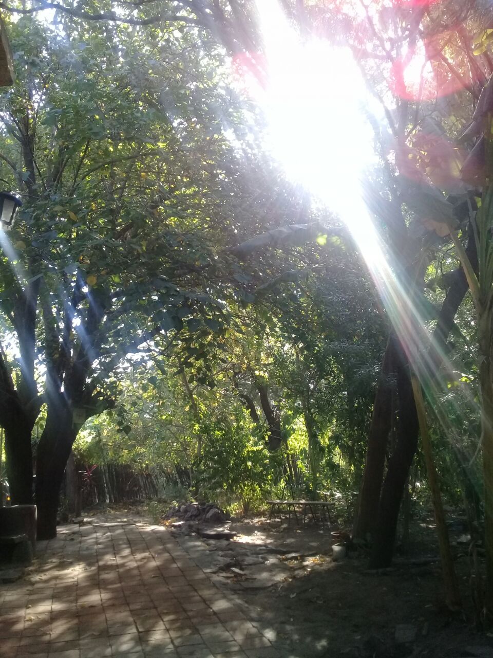 Reconnectons à la nature
