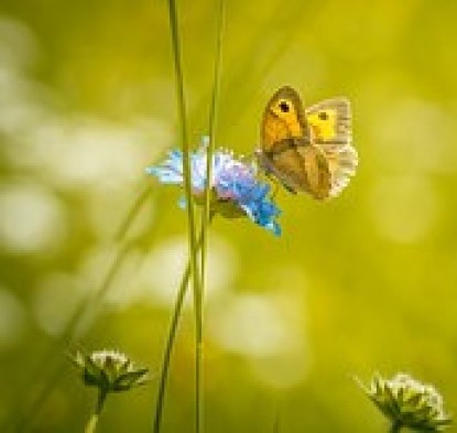 23.03 à 9h et 14h  Ateliers de sonothérapie