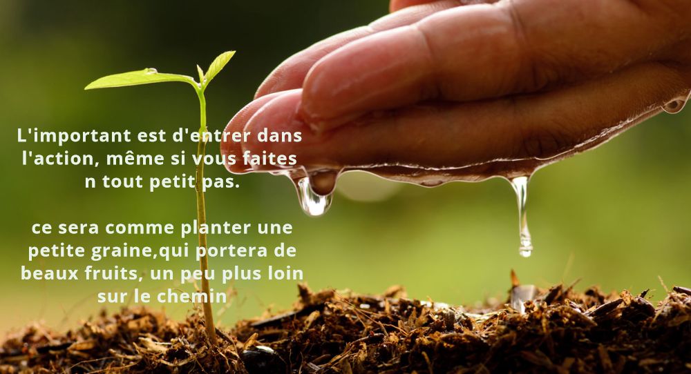formule coaching