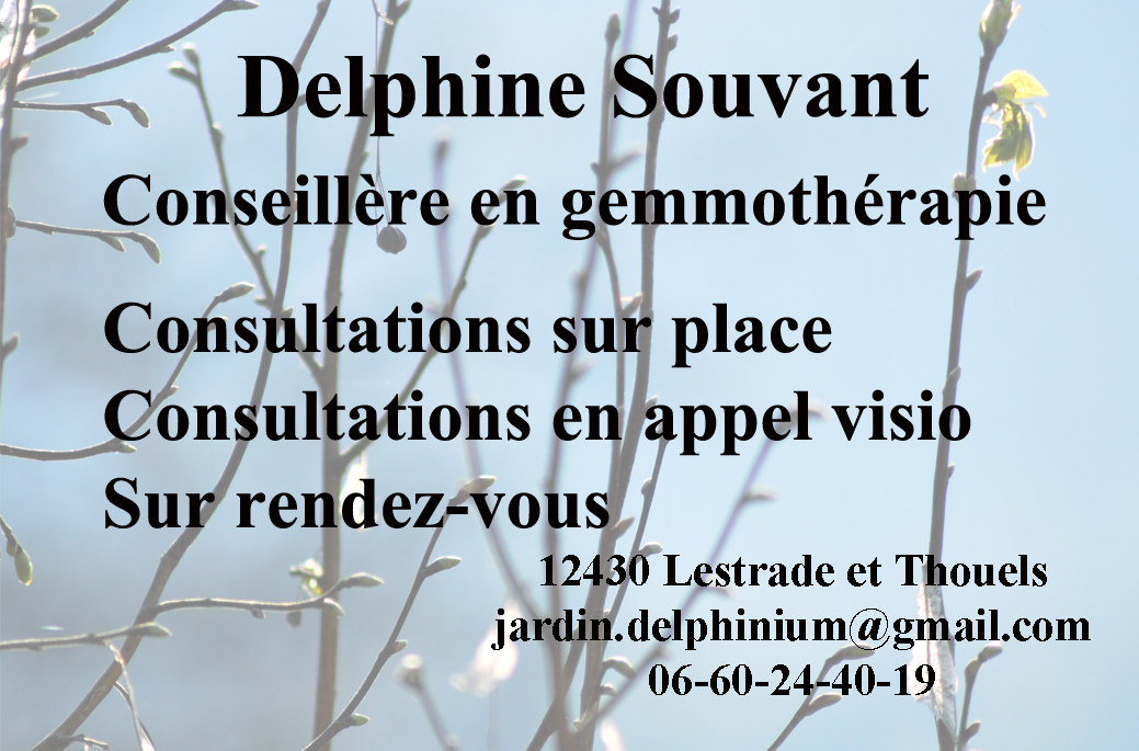 Conseillère gemmothérapie