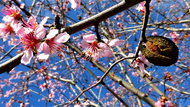 C&rsquo;est déjà le printemps !
