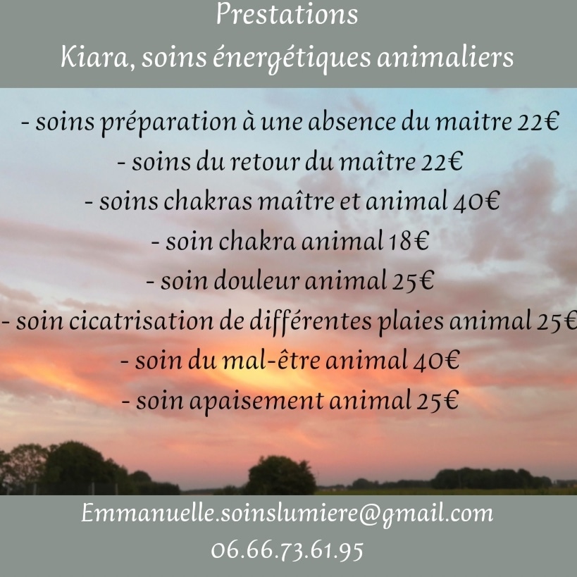 Soins énergétiques animaliers