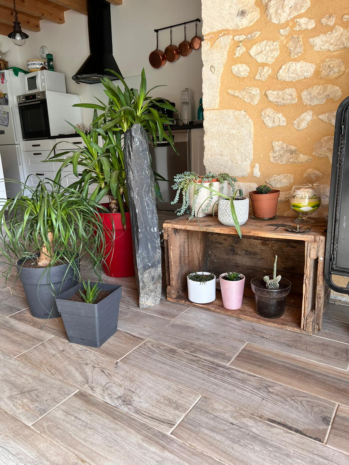 Soins énergétique de votre maison