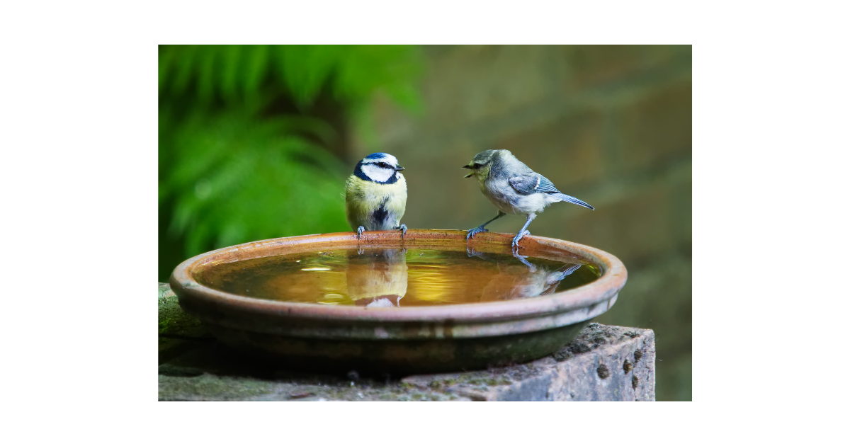 médiation couple