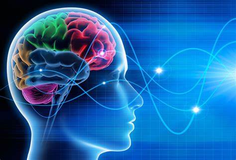 Le NeurofeedBack Dynamique arrive en juin