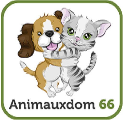 Magnétsme Animalier